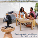 Shark Ventilador FlexBreeze Pro Mist — interno e externo, nebulização integrada, pedestal para mesa, com ou sem fio, bateria de até 24 horas, oscilante, cinza carvão, FA302 (versão 2025)